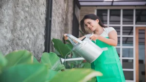 House-sitter, il nuovo lavoro di tendenza in Italia