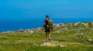 Ecoturismo: le esperienze green da provare quest’estate