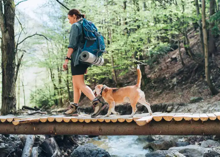 Trekking in montagna con cane
