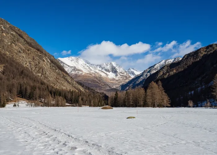 Valnontey, Parco Nazionale del Gran Paradiso