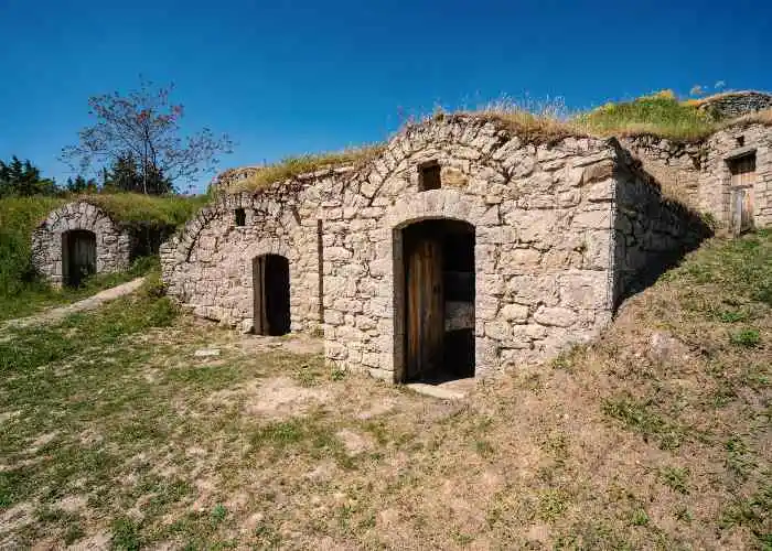 Una particolare dei Palmenti di Pietragalla