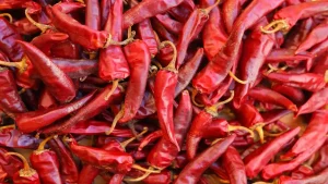 Fiera Mondiale del Peperoncino 2025 di Rieti, il programma e cosa mangiare