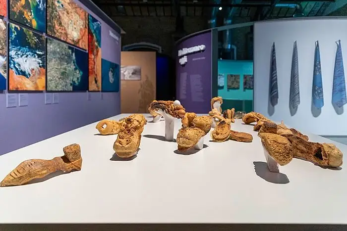 Mediterranea. Visioni di un mare antico e complesso