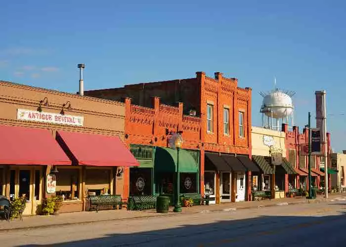 Grapevine