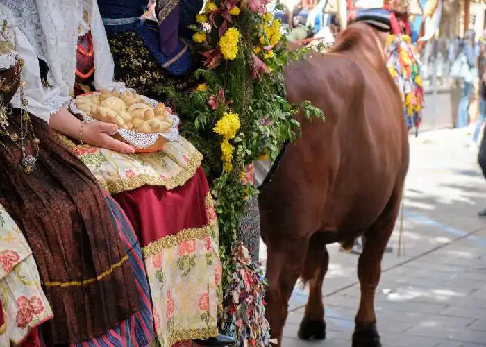 Una sagra tradizionale in Sardegna