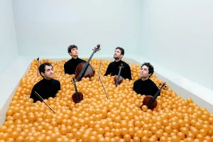 Incontri con Brahms al Museo Nazionale Etrusco di Villa Giulia di Roma: date e programma