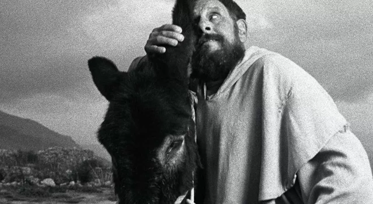 Un film fatto per bene