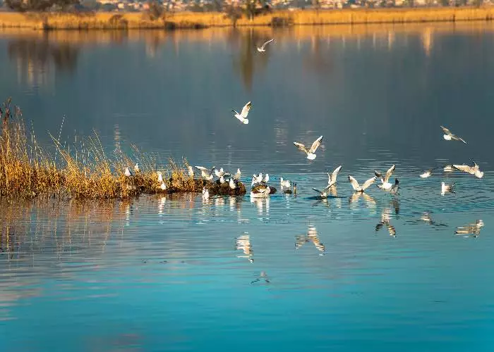 Ciclopedonale Puccini e il Lago di Massaciuccoli