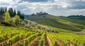 I migliori percorsi vinicoli da non perdere in Europa