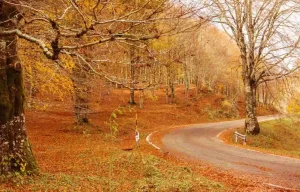 Foliage sui Monti Simbruini, lo spettacolo a un passo da Roma