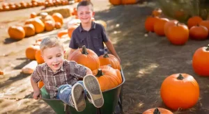 Fattoria della Zucca 2025: Il magico campo di Halloween alle Porte di Roma