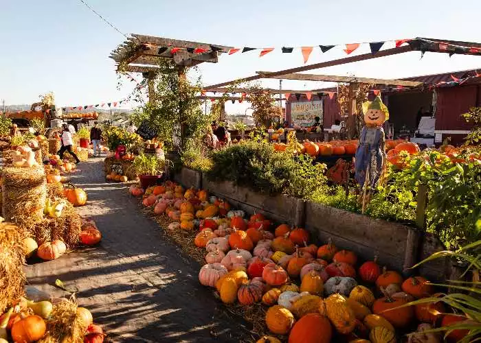 autunno