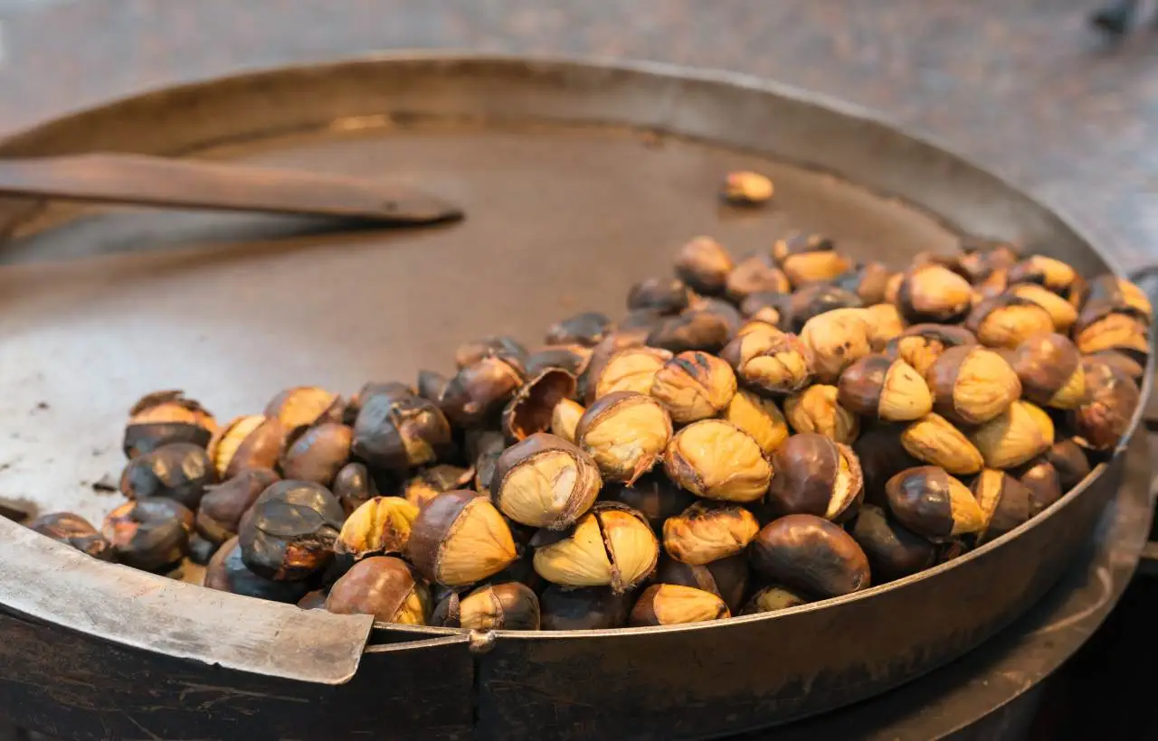 Le castagne sono protagoniste delle sagre Toscana ottobre 2025