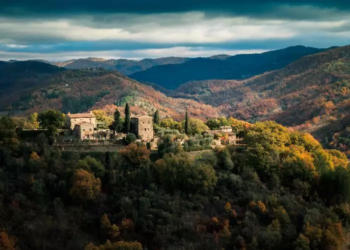 Montone
