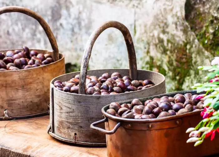 castagne Abruzzo