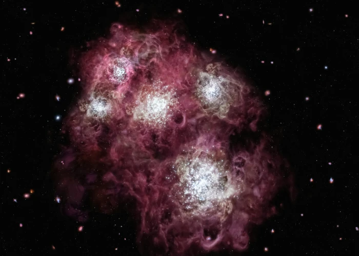 Un grande ammasso di stelle fotografato dal telescopio spaziale Hubble