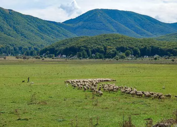Lago Laceno