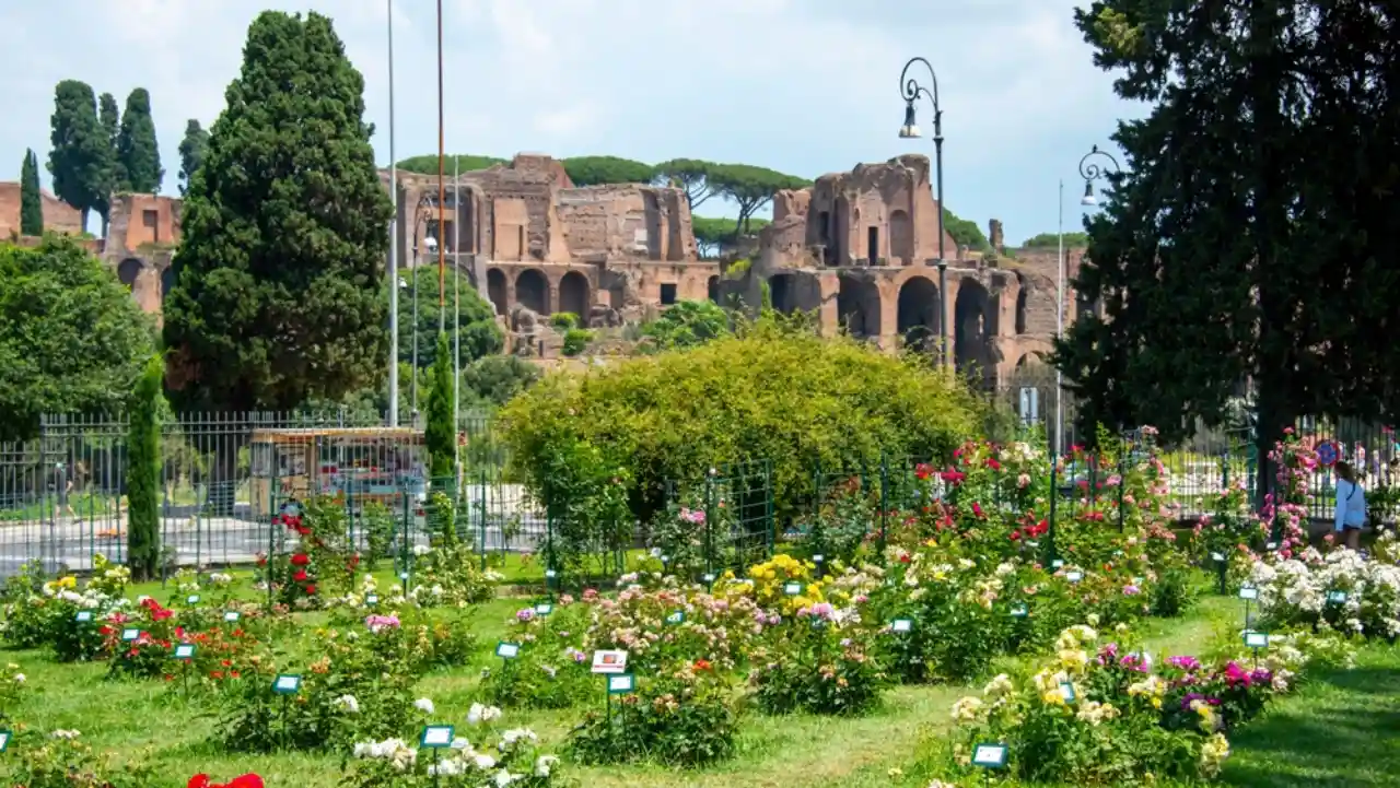 Fioritura al Roseto comunale di Roma