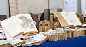 Cesena celebra il fascino della carta: torna “C’era una volta… il Libro”