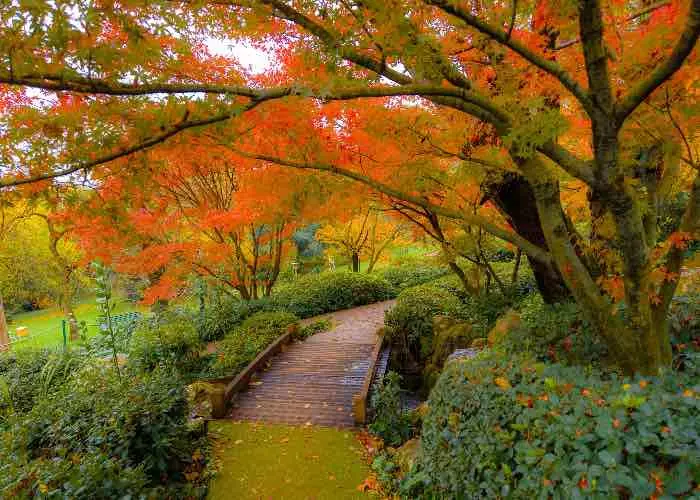 Giardino giapponese Roma