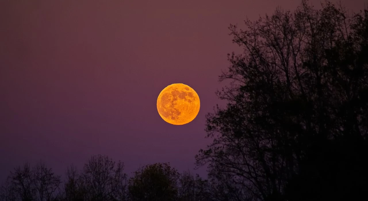 Superluna del Castoro 2025