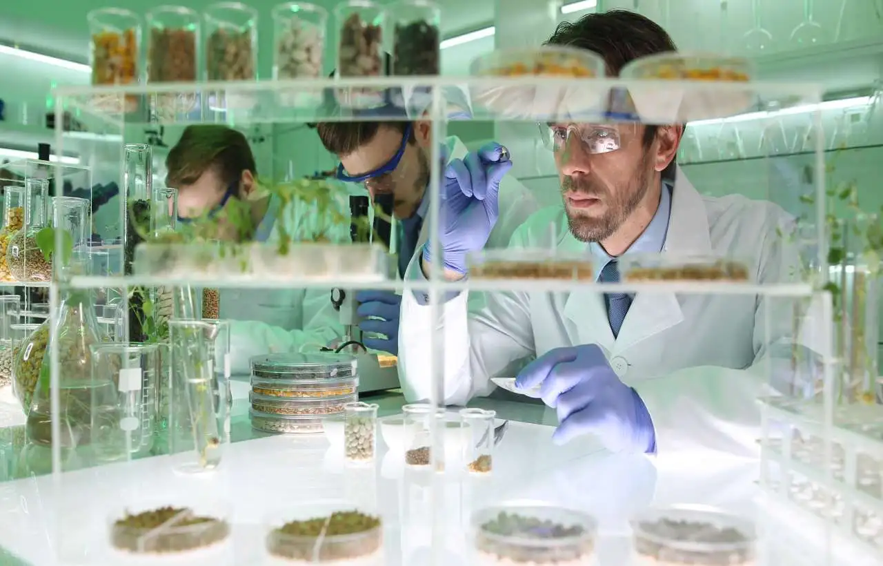 Scienziati a lavoro per creare il cibo del futuro