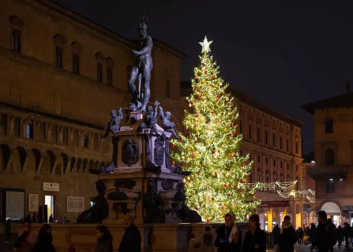Cosa fare a Bologna il weekend del 6 e 7 dicembre? Una passeggiata per vedere l'Albero di Natale