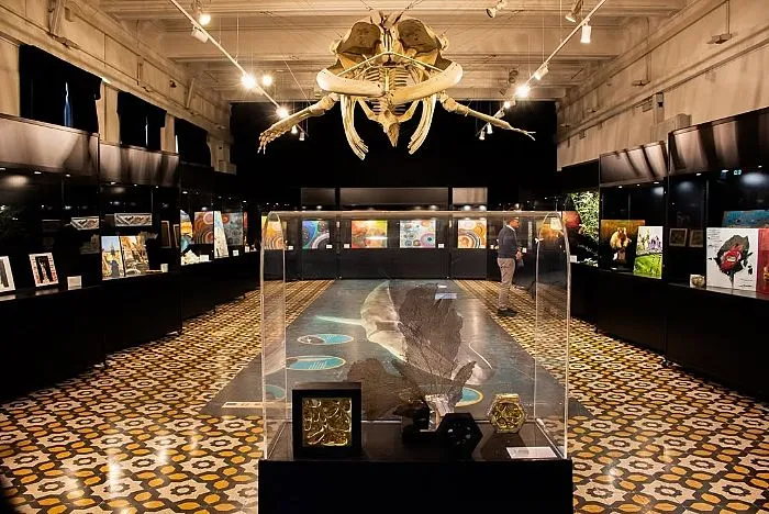 still life museo zoologia roma 2025