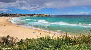 Bondi Beach, la spiaggia di Sydney: storia e cosa vedere