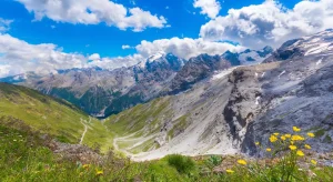Impronte di dinosauri in Lombardia: la straordinaria scoperta nel Parco dello Stelvio