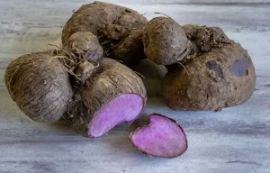 Che cos'è l'ube: sapore, gusto e proprietà della pianta che spopola in cucina