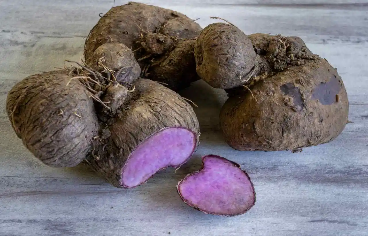 Ube, tubero tipico delle Filippine