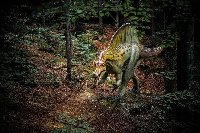 dinosauri orto botanico roma gennaio 2026