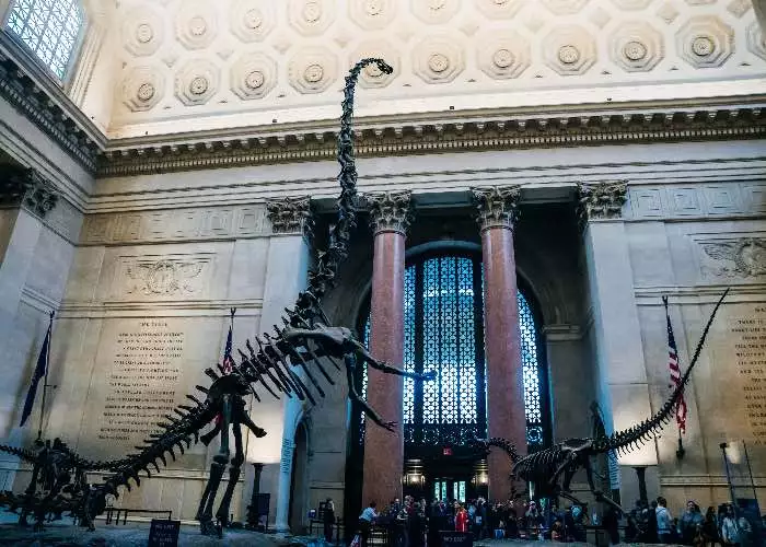 Museo Storia Naturale New York