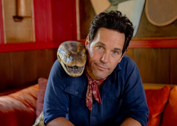 Paul Rudd Anaconda