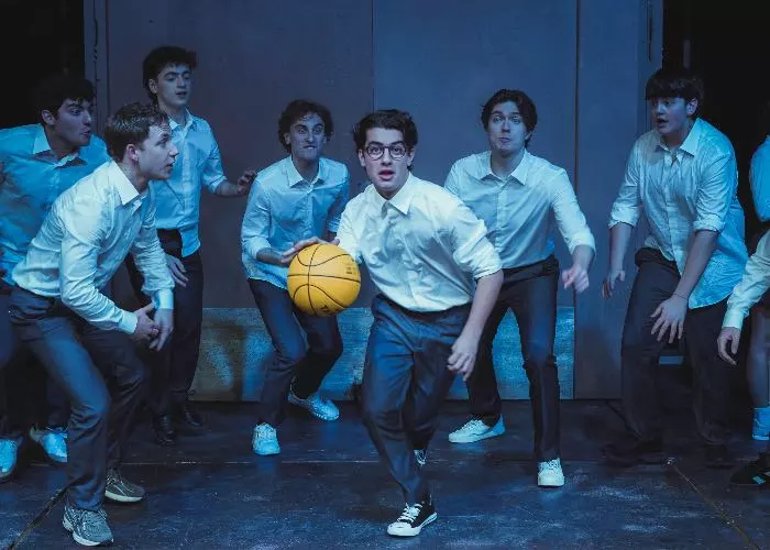 Il ragazzo dai pantaloni rosa musical