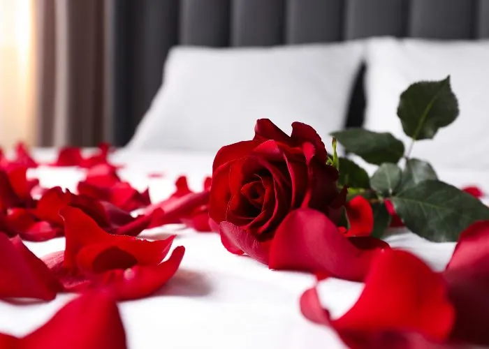 Una rosa rossa su di un letto di un hotel