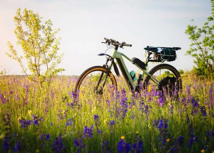 Una bici in un prato: sono diversi i giorni di vacanza in primavera