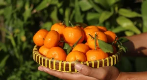 Frutta e verdura di marzo: cosa non può mancare sulla tua tavola