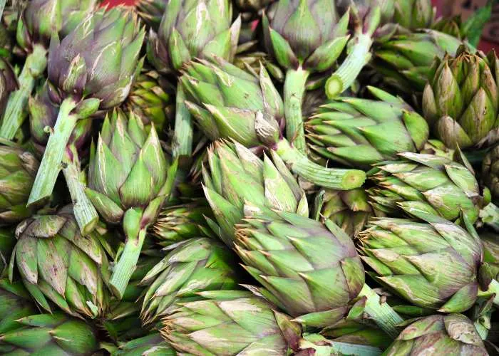 Carciofi sardi, protagonisti di molte sagre a marzo