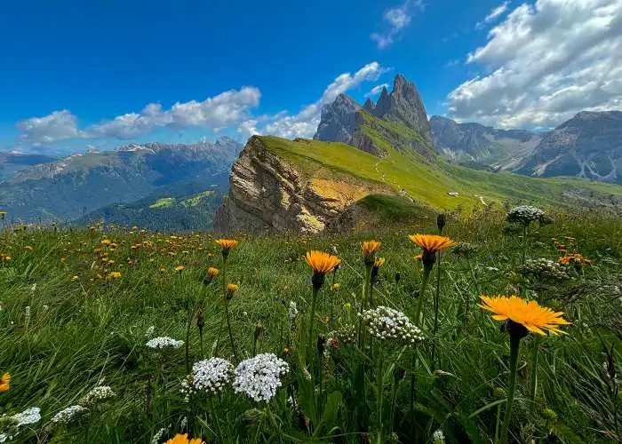 Alpe di Seceda durante la primavera