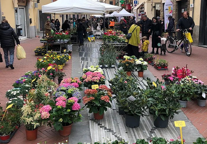 Tra gli eventi a Firenze del 14 e 15 marzo, c'è Montelupo in fiore 2026