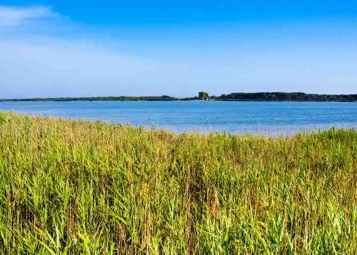 Dove andare a Pasquetta in Toscana - Oasi del WWF del Lago di Burano