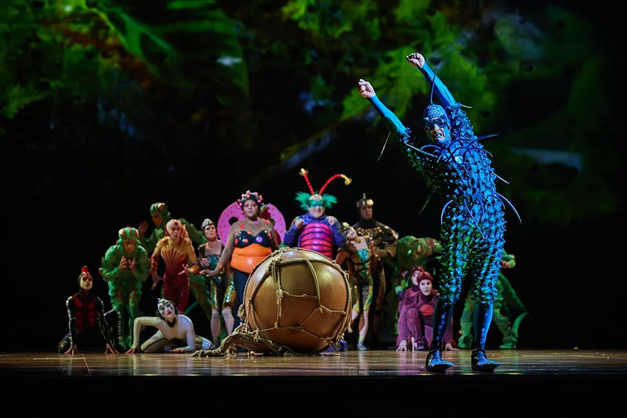 cirque du soleil ovo