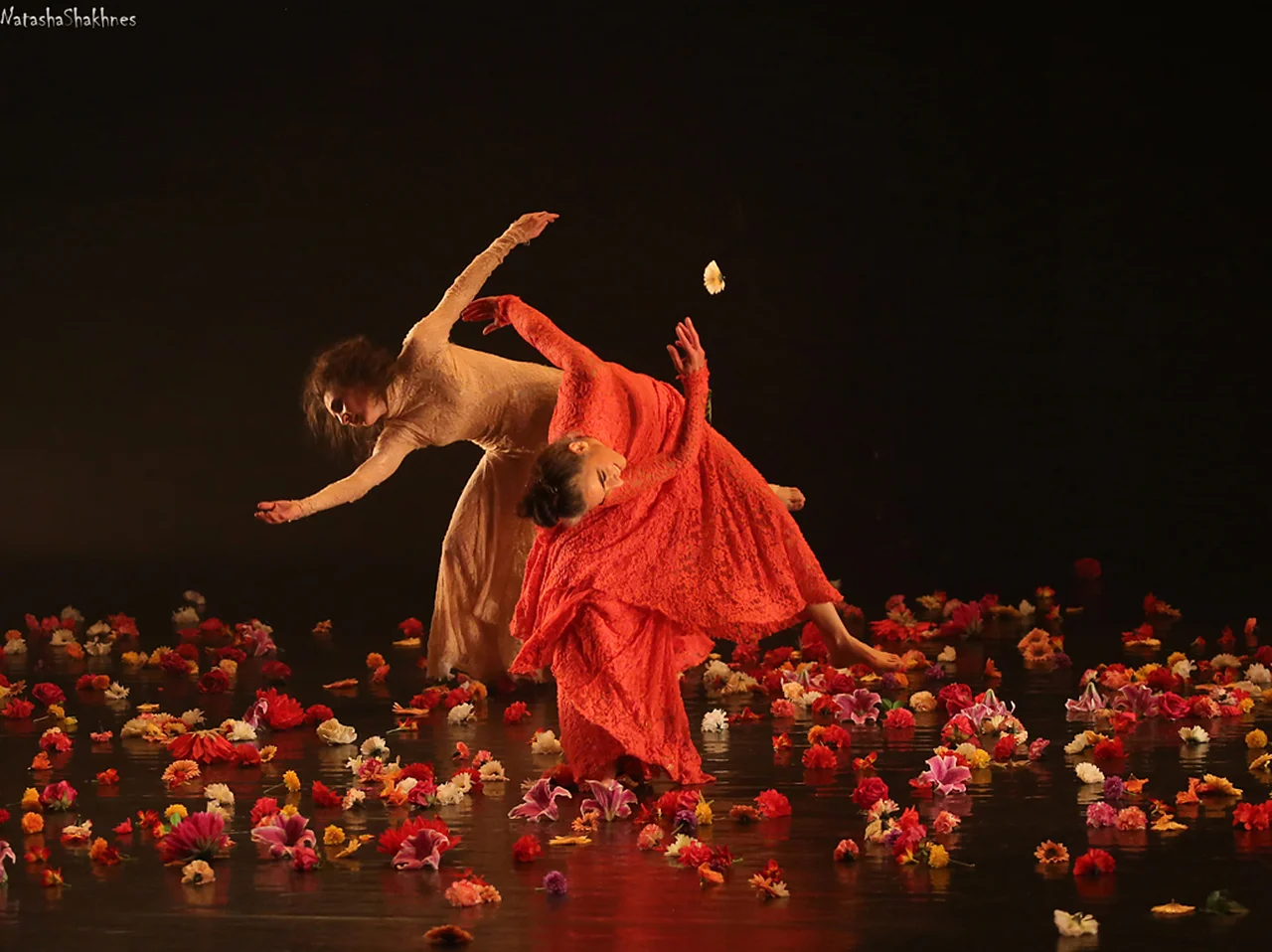 Orly Portal Il rito della primavera