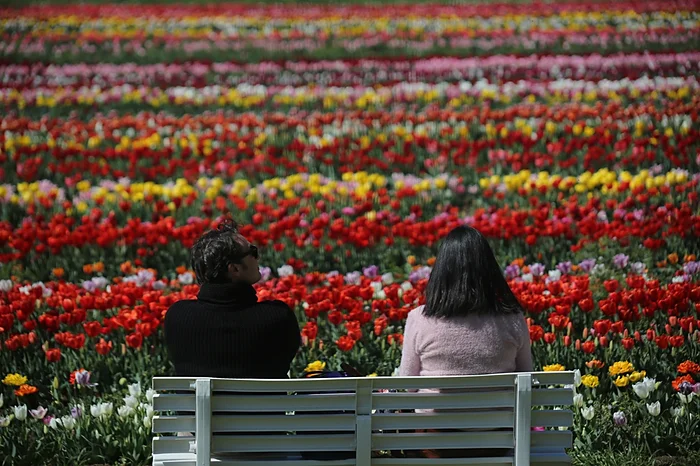 TuliPark a villa gordiani - roma