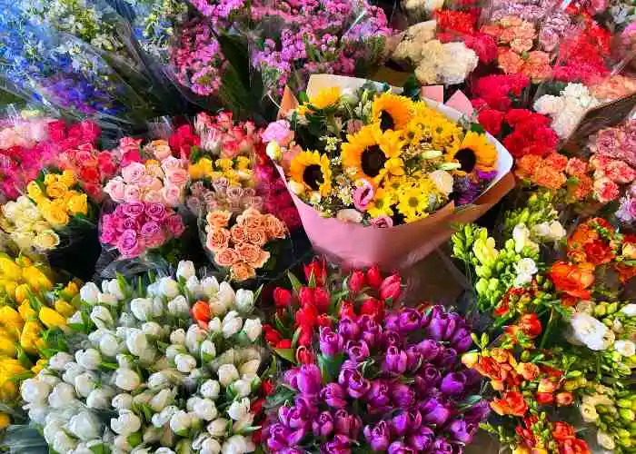 Cosa fare a Bologna il weekend 18 e 19 aprile - Un mercatino di piante e fiori
