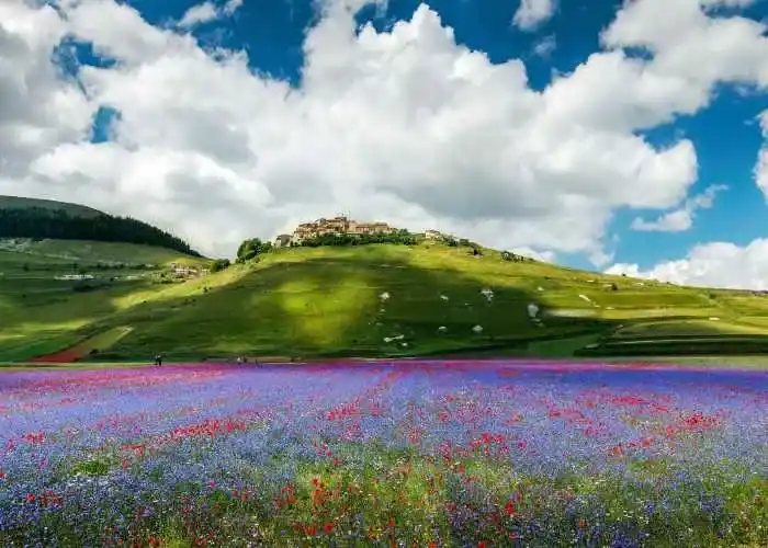 Castelluccio di Norcia