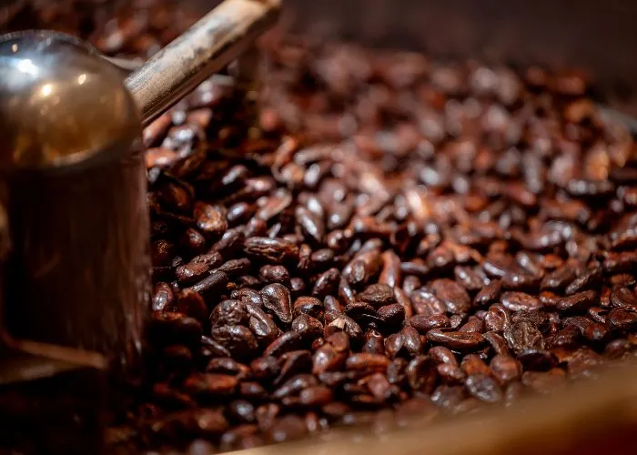 Parc du Chocolat Cailler - Cacao tostato per fare cioccolato