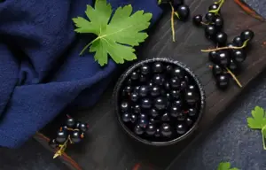 Ricette ribes nero: abbinamenti, piatti e dove trovarlo in Italia